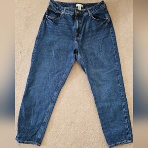 H&M Deep Blue Denim Pants